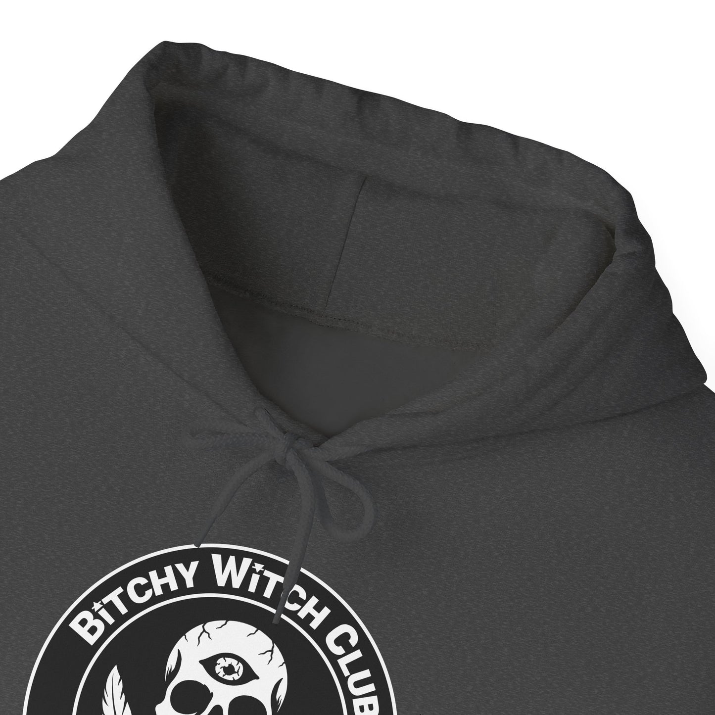 Official Unisex BWC Pullover Hoodie – Bitchy Witch Club